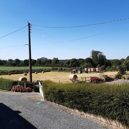 Le Douitel Bed and Breakfast Roncey Buitenkant foto